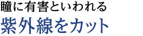 瞳にも有害といわれる紫外線をカット。